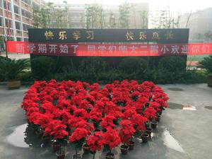 校园景观（1）